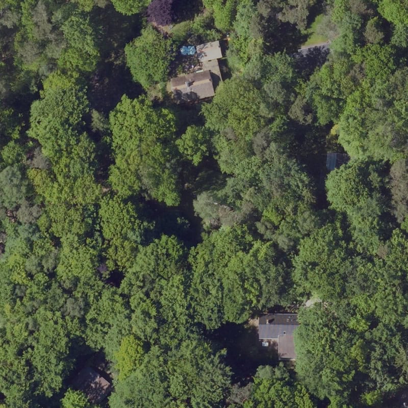 Bosuil-2021-lufo