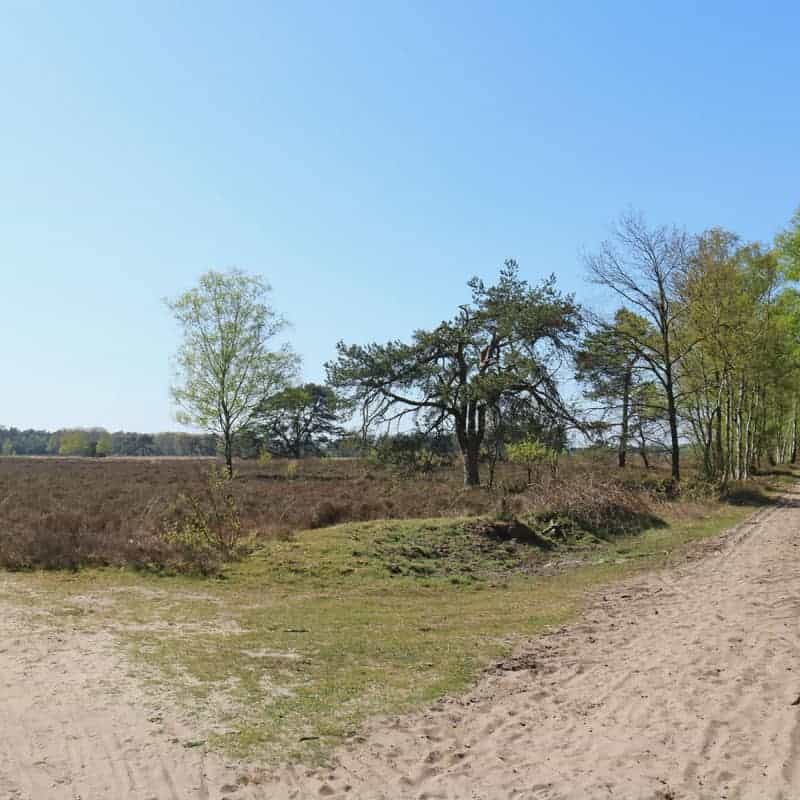Hoek-tongerense-hei-tepelbergweg