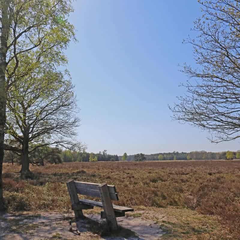 bankje-tongerense-hei-april