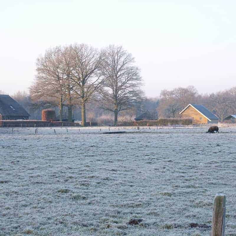 boerderijen-in-winterlandschap