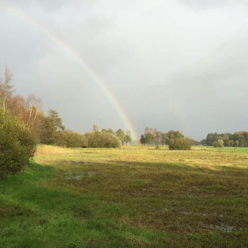 regenboog-lage-veenweg