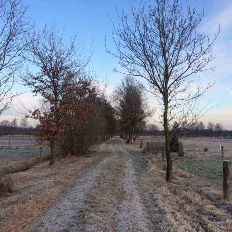 winters-bramenpaadje
