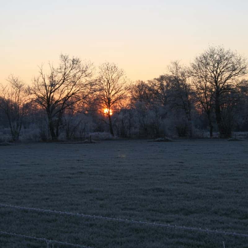 zonsopkomst-bosrand