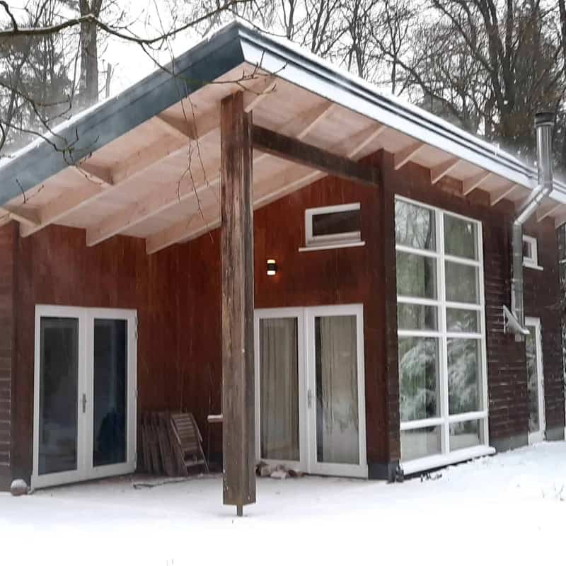 bosuil-in-de-sneeuw